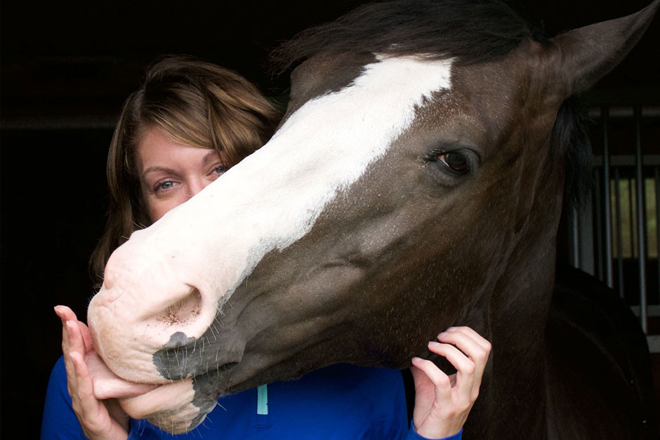 5 Signs You're With The Right Horse