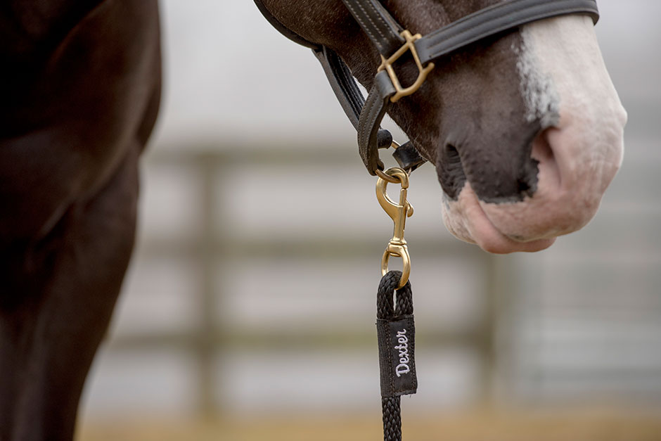 personalized horse lead ropes