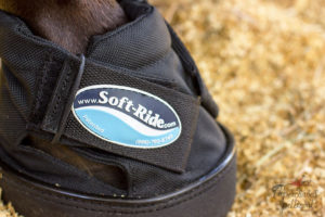 Soft-Ride Equine Comfort Boots