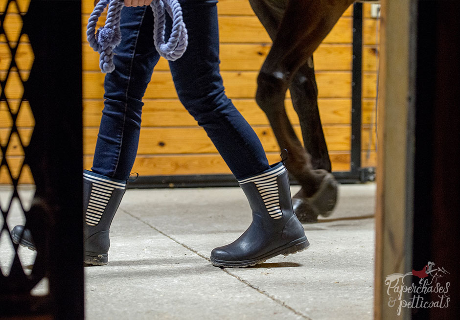 cambridge muck boots