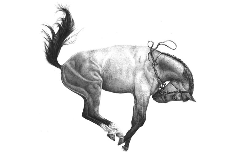 Victoria Scotti equine artist