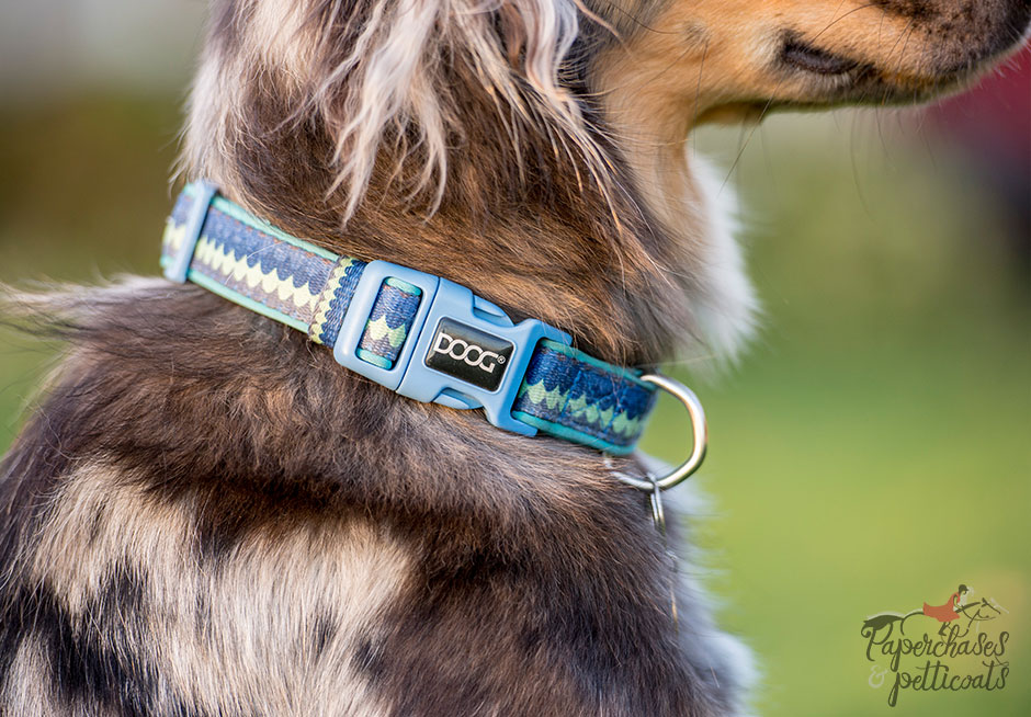 doog dog collar